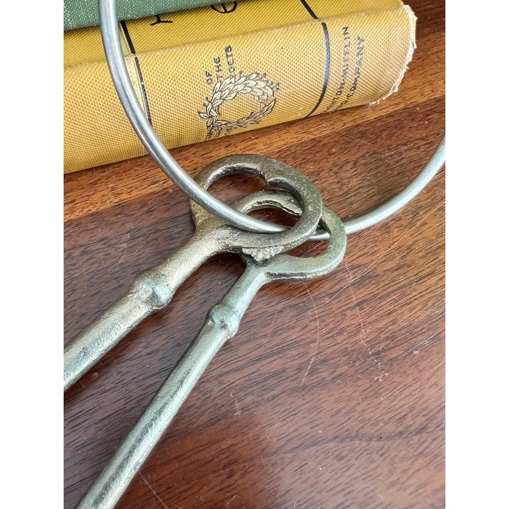 VTG MCM Metal Bronze Cast Iron Skeleton Key Wall Decor 5